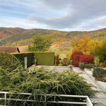 Logement De Charme Au Coeur De La Nature Osenbach Exteriér fotografie