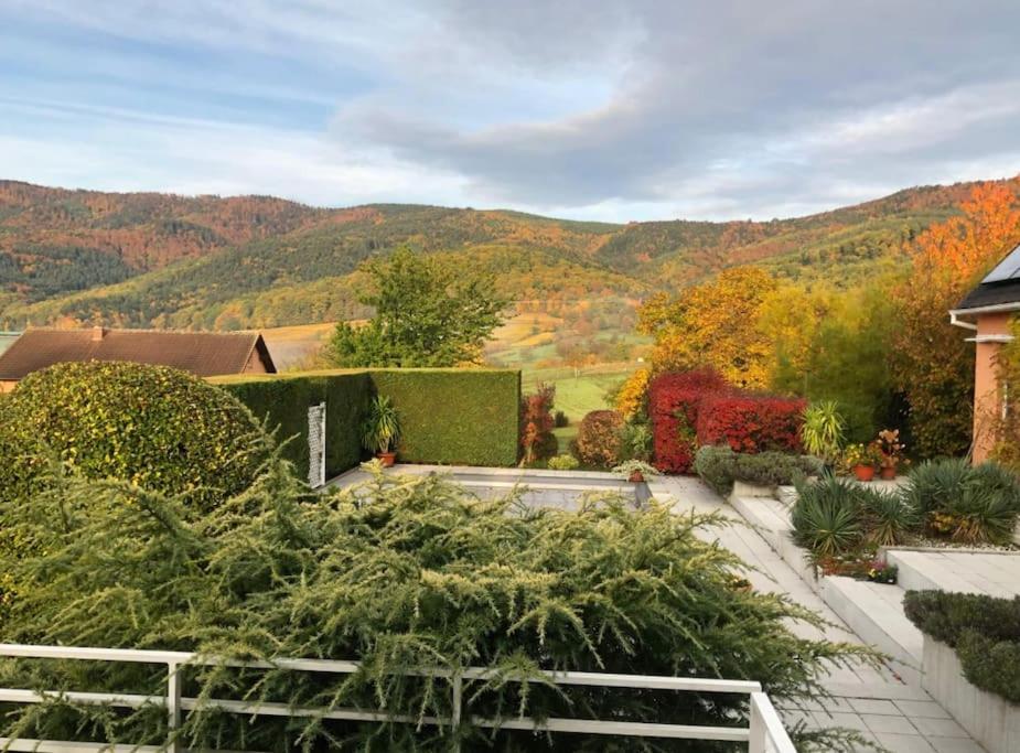 Logement De Charme Au Coeur De La Nature Osenbach Exteriér fotografie