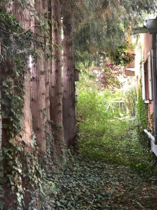 Logement De Charme Au Coeur De La Nature Osenbach Exteriér fotografie