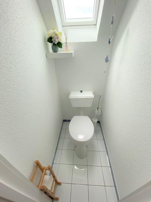 Logement De Charme Au Coeur De La Nature Osenbach Exteriér fotografie